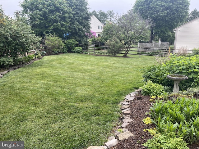 view of yard
