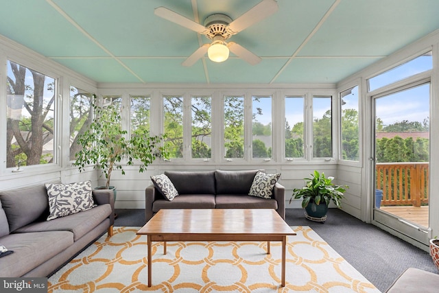 sunroom with plenty of natural light and carpet floors