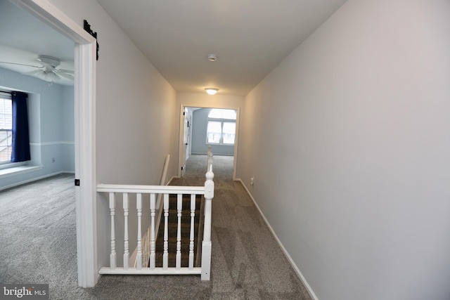 16 Cotswold Way, Sewell, NJ 08080 - hall featuring carpet floors, an upstairs landing, and baseboards