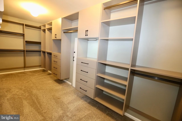 16 Cotswold Way, Sewell, NJ 08080 - spacious closet featuring light colored carpet