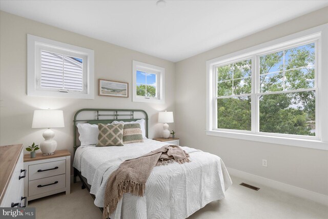 31447 Watershed Ln Unit 2, Bethany Beach, DE 19930 - bedroom featuring light carpet, multiple windows, and baseboards