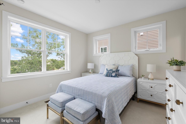 31447 Watershed Ln Unit 2, Bethany Beach, DE 19930 - bedroom with carpet flooring, multiple windows, and baseboards