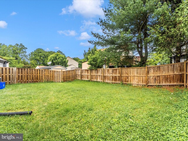 view of yard