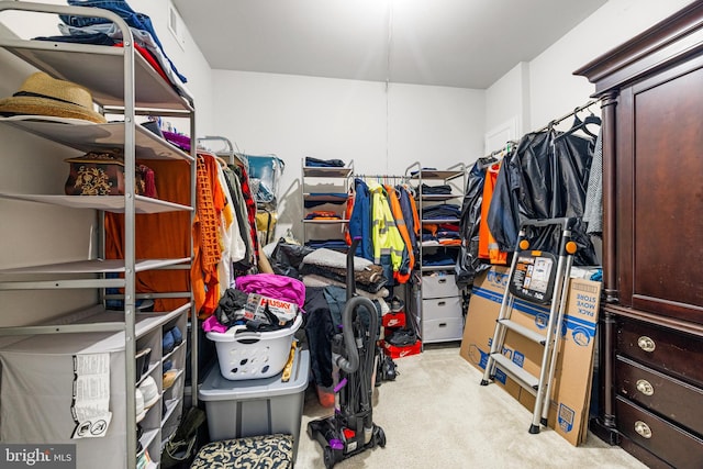 2660 Richmond Way, Hanover, MD 21076 - view of walk in closet