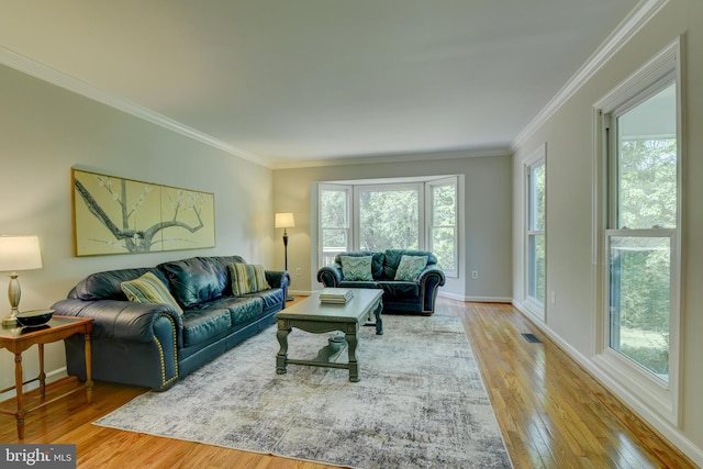 living area with hardwood / wood-style floors, ornamental molding, and baseboards