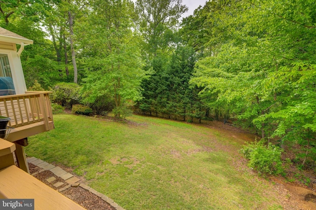 view of grassy yard