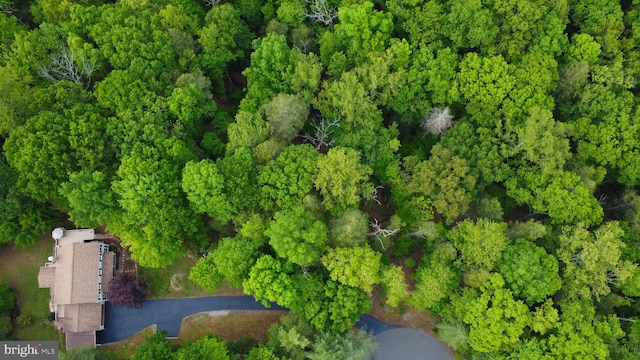 bird's eye view