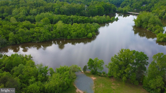 bird's eye view of a forest and a large body of water