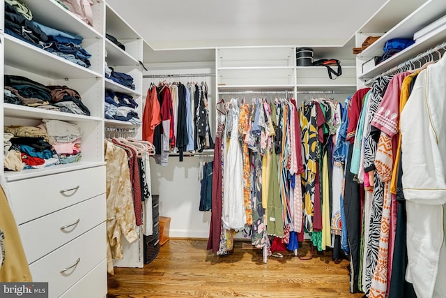 walk in closet with wood finished floors