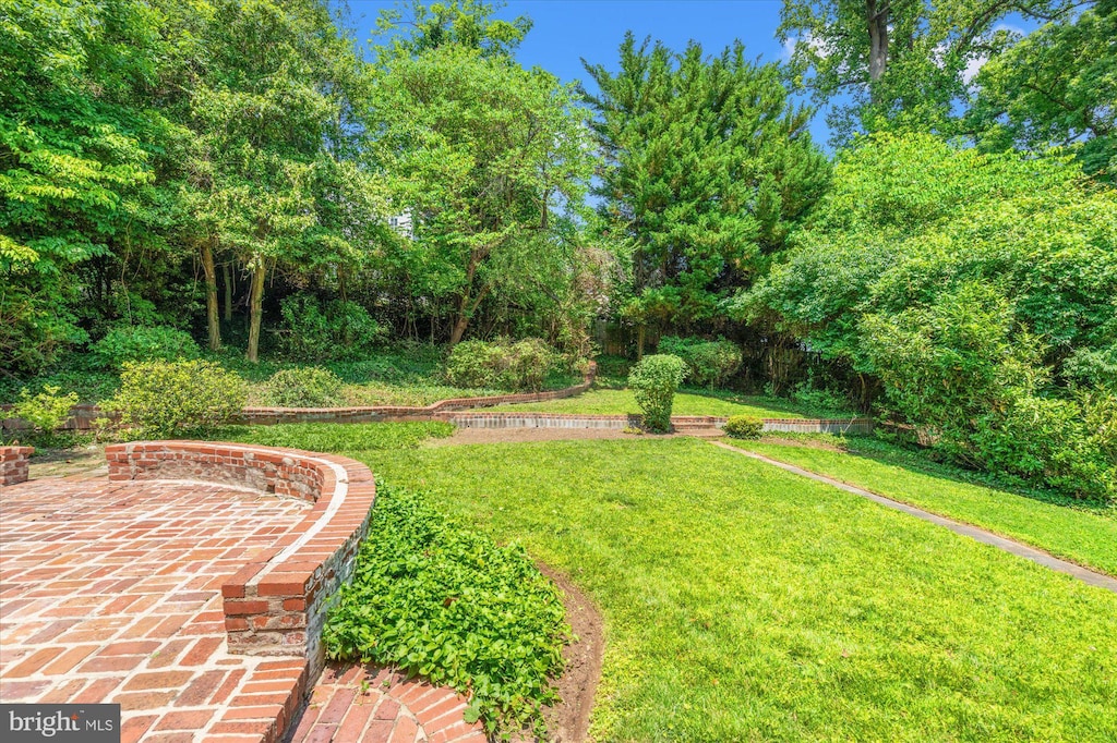3211 Thornapple St, Chevy Chase, MD 20815 - view of green lawn featuring a patio area