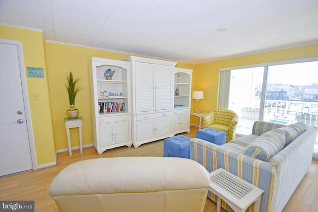 107 Convention Center Dr Unit 148D, Ocean City, MD 21842 - living area with light wood-type flooring, baseboards, and ornamental molding