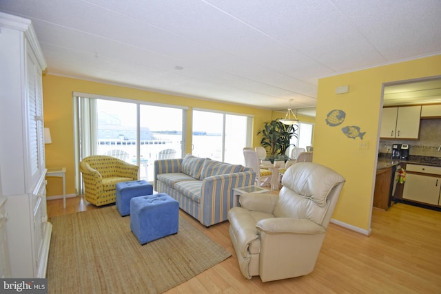 107 Convention Center Dr Unit 148D, Ocean City, MD 21842 - living room featuring light wood-type flooring and baseboards