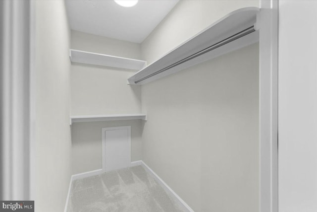 walk in closet with carpet flooring