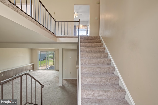 stairs with carpet floors, a high ceiling, a ceiling fan, and baseboards
