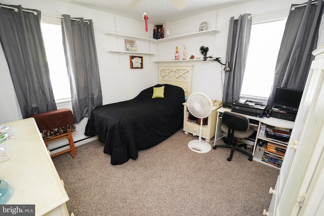 117 Mimosa Dr, Cambridge, MD 21613 - bedroom featuring a baseboard radiator, multiple windows, carpet, and an office area