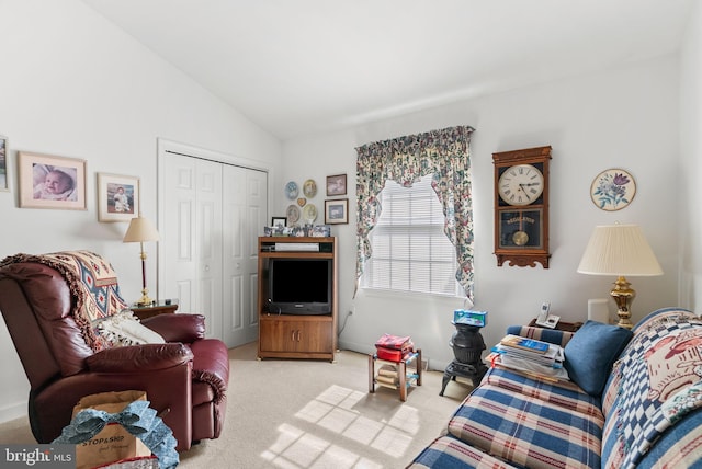 3135 Windon Ave, Lancaster, PA 17603 - living room with carpet and lofted ceiling