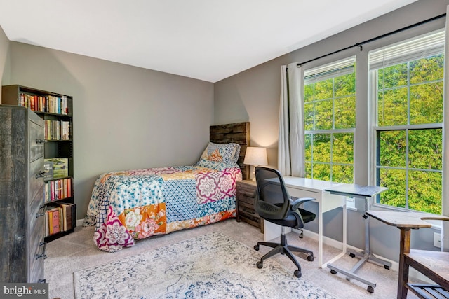 9568 Buttonbush Ct, Manassas, VA 20110 - bedroom featuring carpet floors, an office area, and baseboards