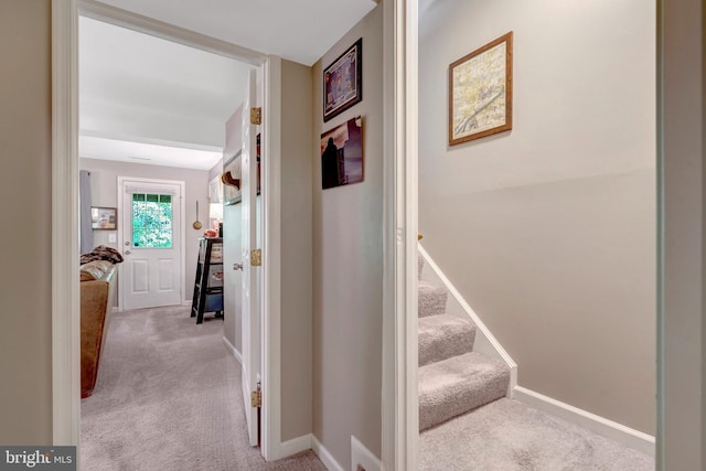 9568 Buttonbush Ct, Manassas, VA 20110 - corridor featuring carpet, baseboards, and stairs