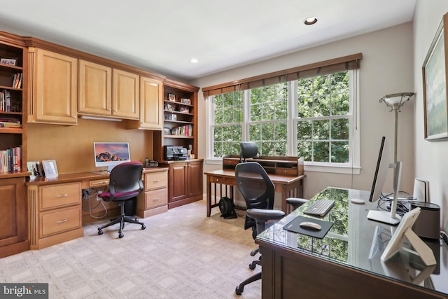 1311 Meadowbrook Ct, Jenkintown, PA 19046 - office featuring recessed lighting