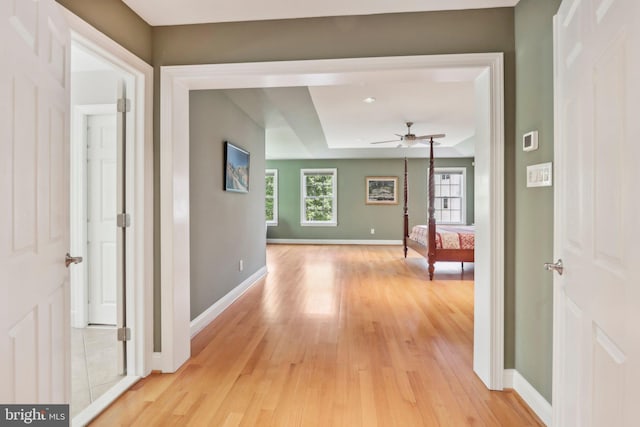 1311 Meadowbrook Ct, Jenkintown, PA 19046 - hall featuring light wood-style flooring, baseboards, and a tray ceiling