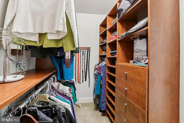 1311 Meadowbrook Ct, Jenkintown, PA 19046 - spacious closet featuring carpet floors