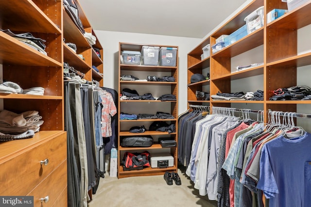 1311 Meadowbrook Ct, Jenkintown, PA 19046 - spacious closet featuring carpet floors