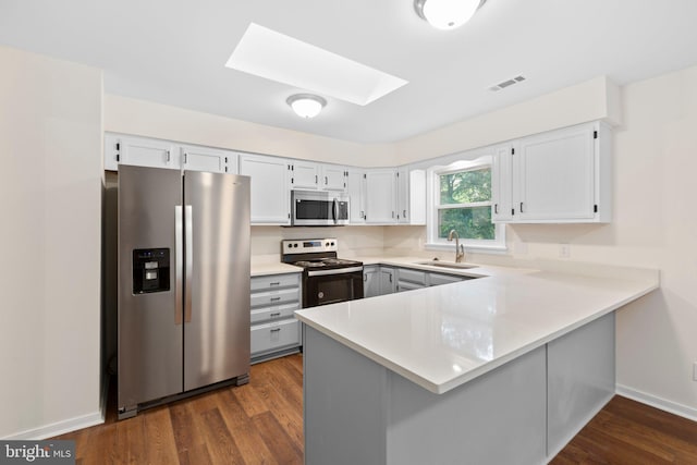 910 Ficklen Rd, Fredericksburg, VA 22405 - kitchen with stainless steel appliances, a sink, a skylight, a peninsula, and dark wood-type flooring