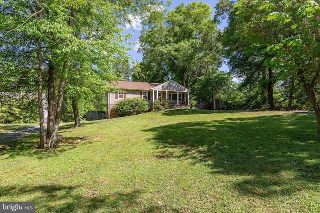 view of grassy yard