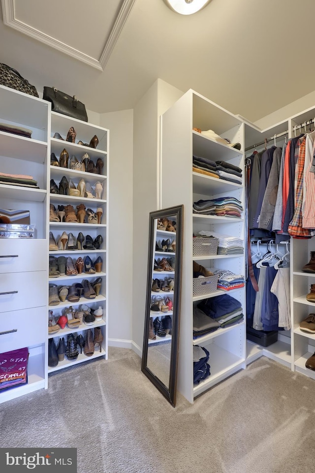spacious closet with carpet flooring