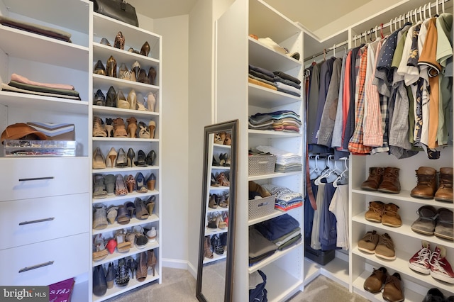 view of walk in closet