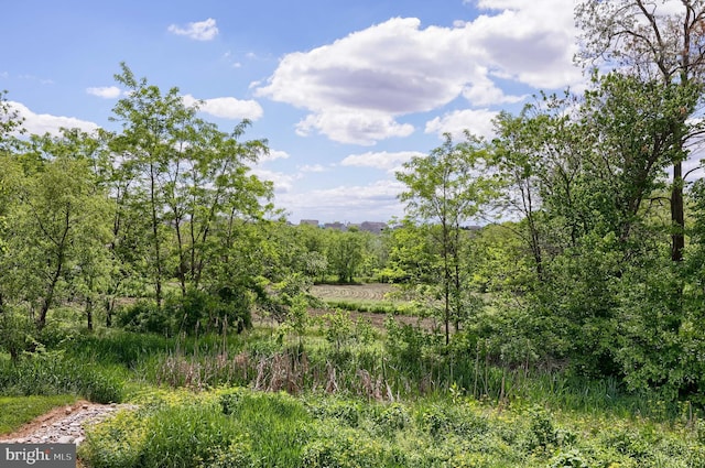 view of undeveloped land