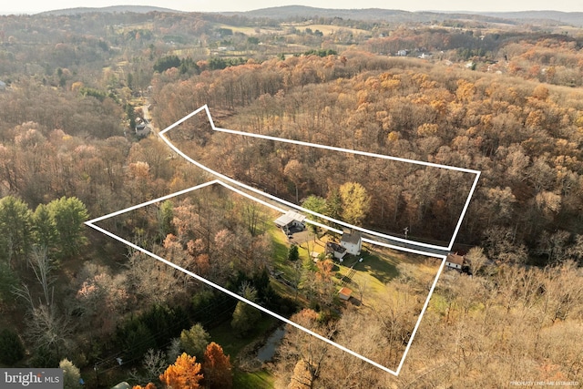 view of property location with property boundaries highlighted and a heavily wooded area
