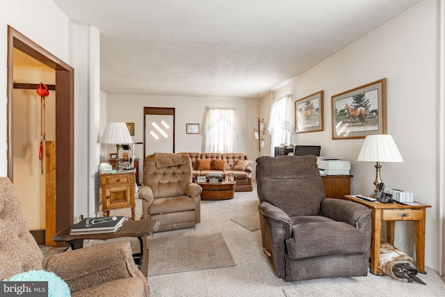 living area featuring carpet