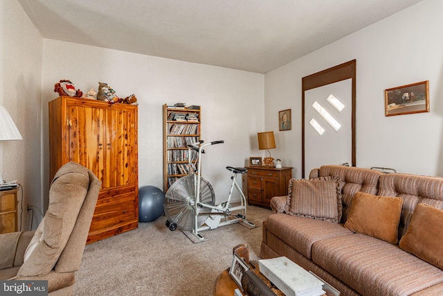 living room featuring carpet floors