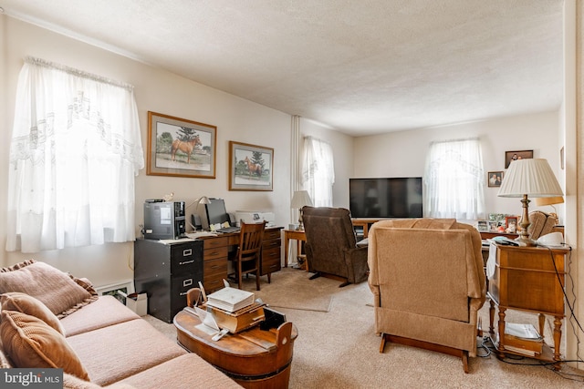 living room with light carpet and a desk