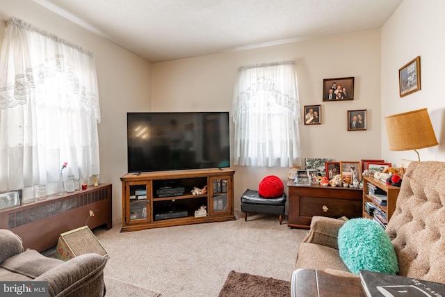 view of carpeted living area
