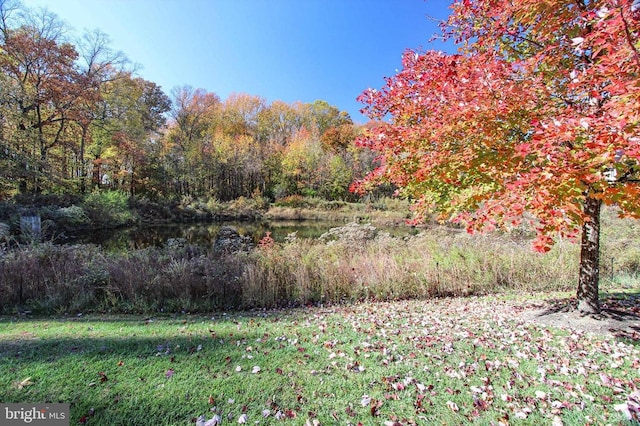 view of tree filled area with a water view