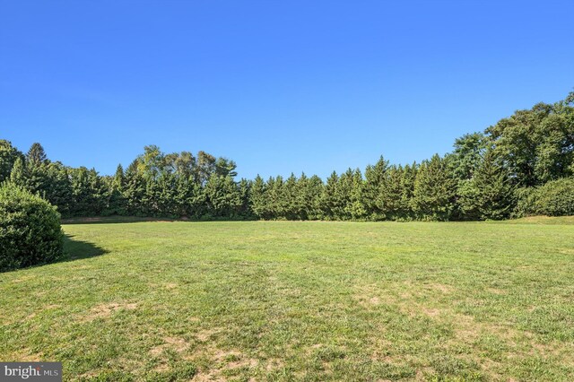 645 Beehive Way, Winchester, VA 22601 - view of green lawn featuring a view of trees