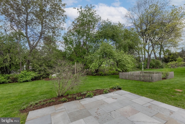view of grassy yard featuring a patio