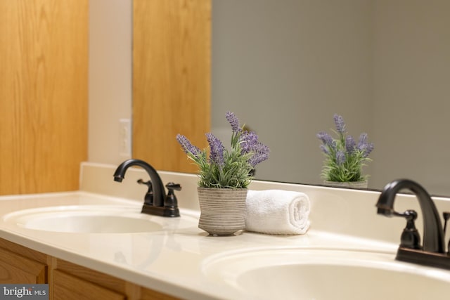 bathroom view of double vanity
