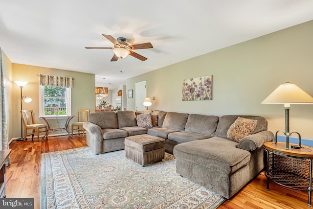 living area featuring ceiling fan and wood finished floors