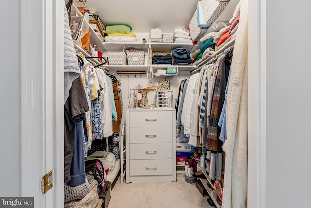 spacious closet with light carpet
