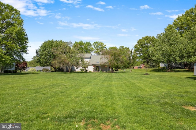 view of grassy yard