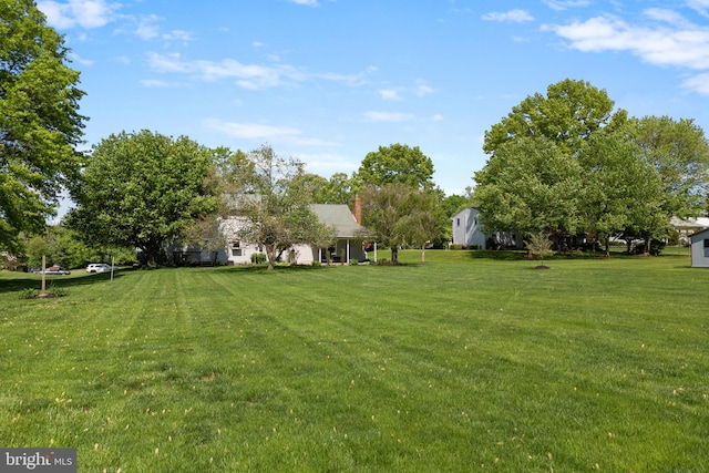 view of grassy yard