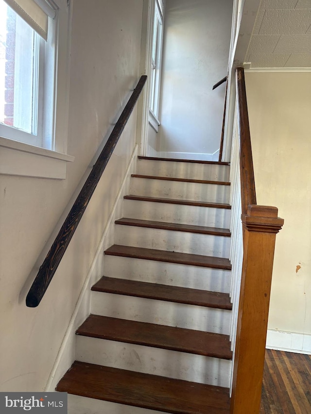 stairs featuring wood finished floors