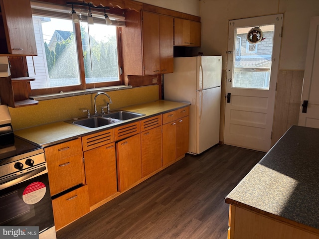 kitchen featuring stainless steel electric range, a sink, freestanding refrigerator, dark wood finished floors, and light countertops