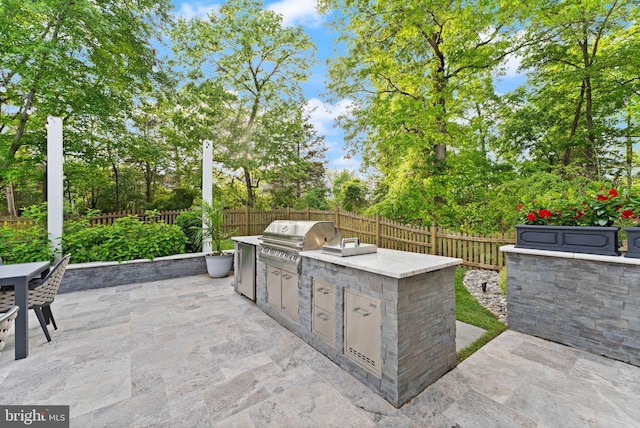 18729 Upper Meadow Dr, Leesburg, VA 20176 - view of patio / terrace featuring area for grilling and a fenced backyard