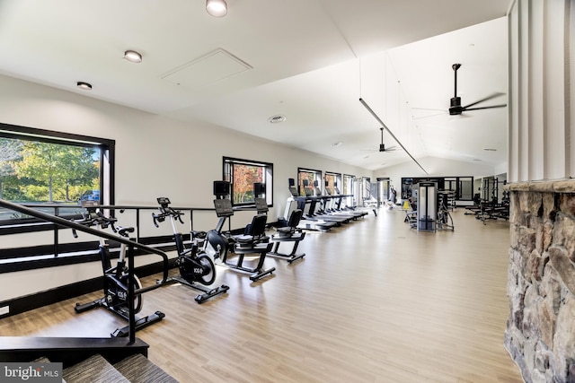 18729 Upper Meadow Dr, Leesburg, VA 20176 - exercise room with vaulted ceiling, ceiling fan, and light wood-style flooring