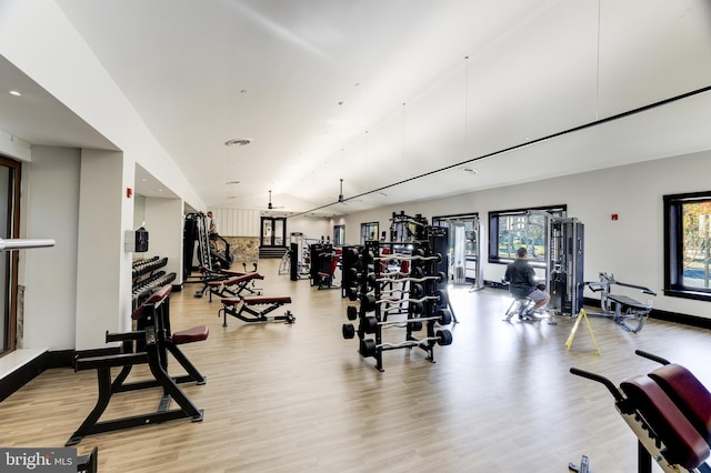 18729 Upper Meadow Dr, Leesburg, VA 20176 - exercise room featuring plenty of natural light, lofted ceiling, light wood-type flooring, recessed lighting, and baseboards