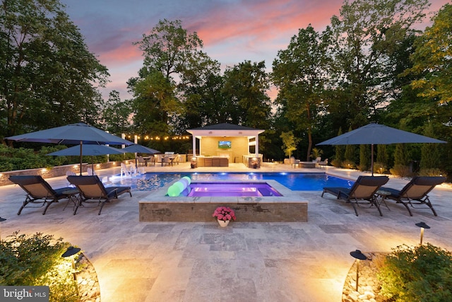 18729 Upper Meadow Dr, Leesburg, VA 20176 - swimming pool featuring an outdoor living space, a patio area, an in-ground hot tub, and view of wooded area
